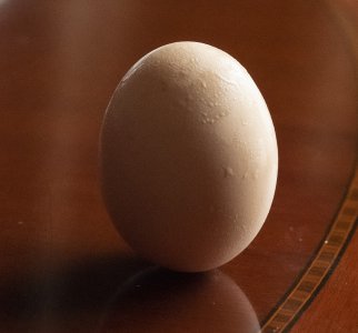 今日23時33分春分