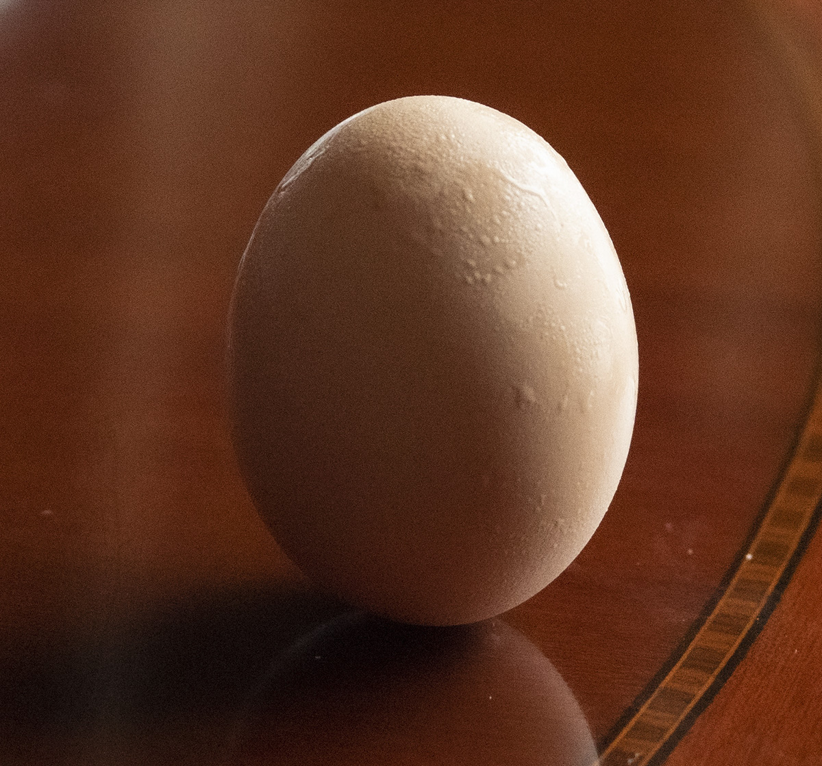 今日23時(shí)33分春分