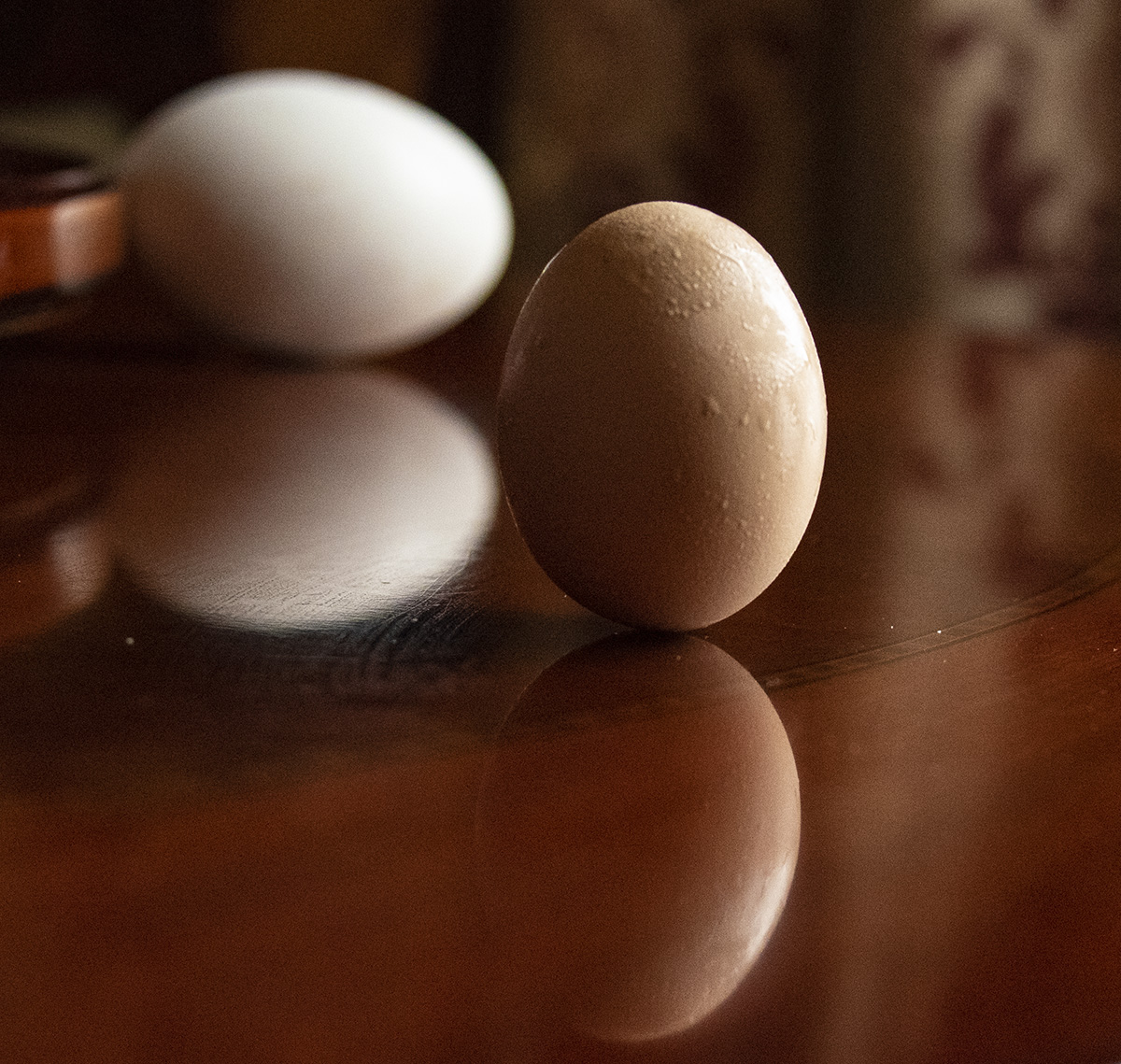 今日23時(shí)33分春分