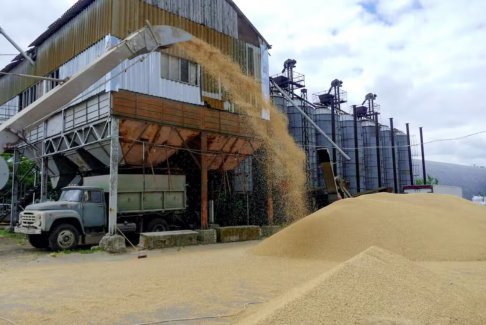 美國表示將追究俄羅斯對烏克蘭糧食出口的責(zé)任