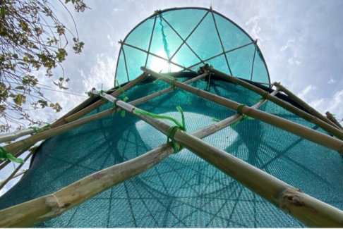 墨西哥用傳統(tǒng)的捕霧方法來(lái)應(yīng)對(duì)水資源短缺