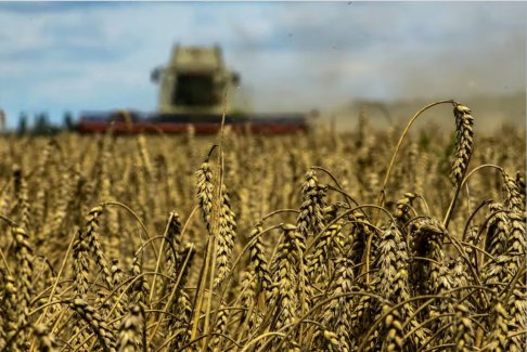 土耳其國(guó)防部稱又有兩艘谷物船離開(kāi)烏克蘭