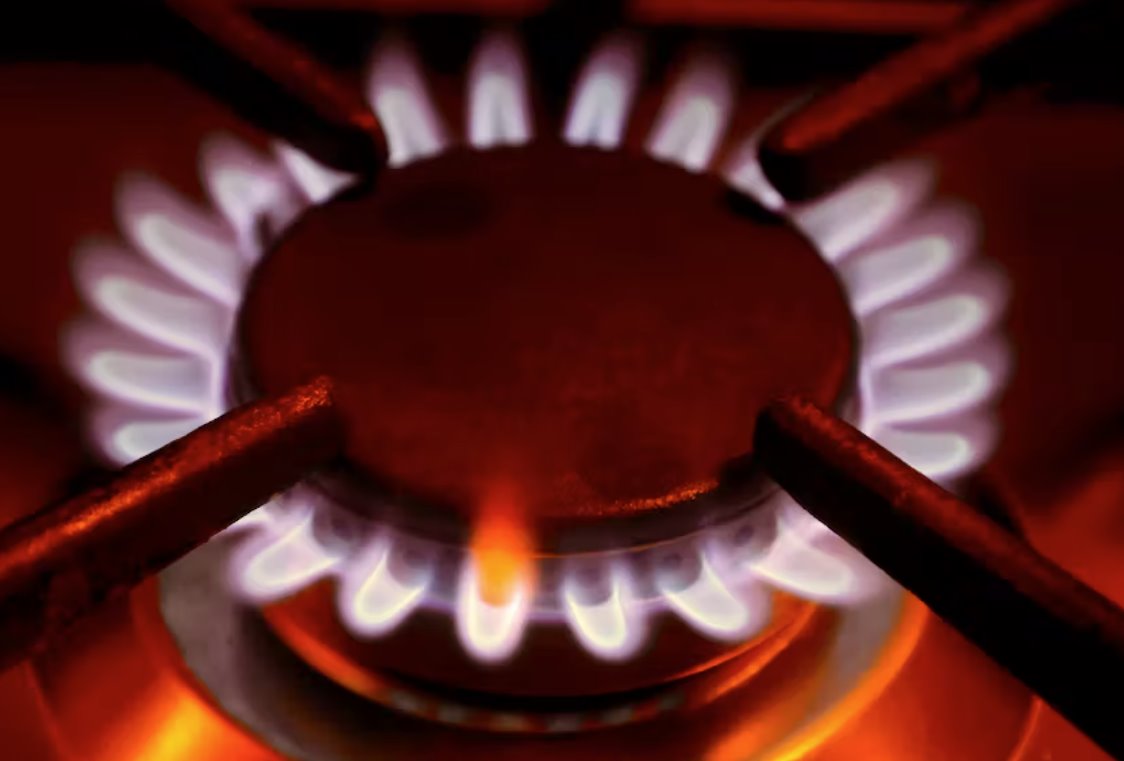 德國將利用暴利稅收入來降低能源價(jià)格