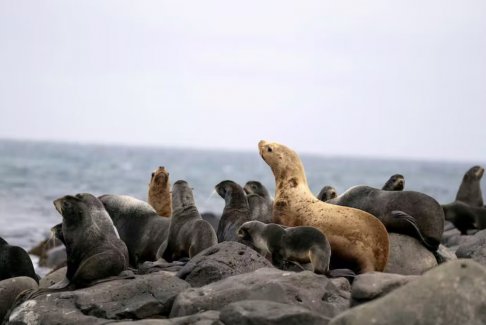 COP27氣候談判被視為下個(gè)月聯(lián)合國自然峰會(huì)取得成功