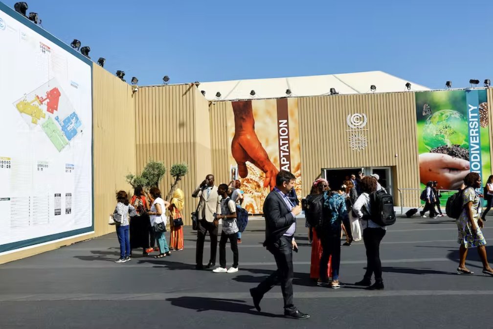 活動(dòng)人士稱 限制權(quán)利削弱了埃及的氣候談判