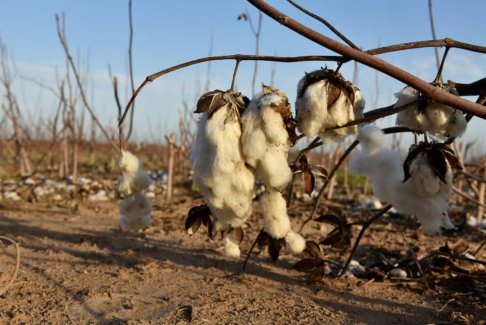 厄爾尼諾現(xiàn)象有望在多年來最嚴(yán)重的干旱后提振美國
