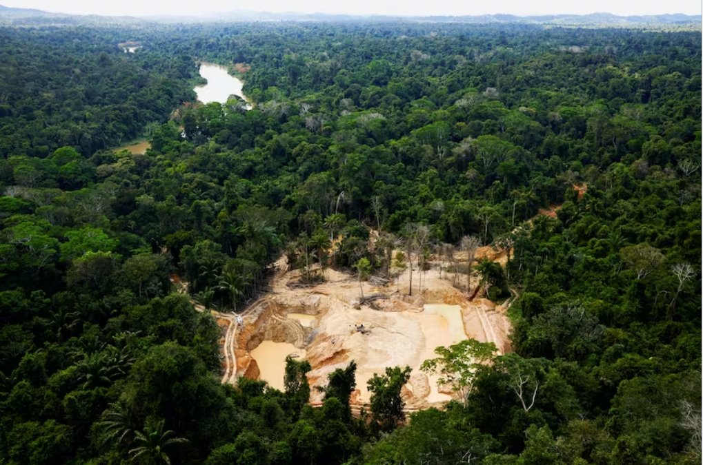 巴西警方在亞諾馬米保留地射殺4名非法采金者