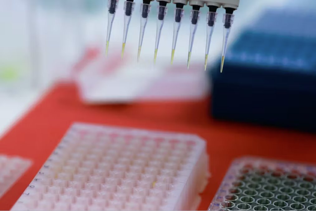 巴西加強(qiáng)禽流感防御以保護(hù)世界頂級養(yǎng)雞業(yè)