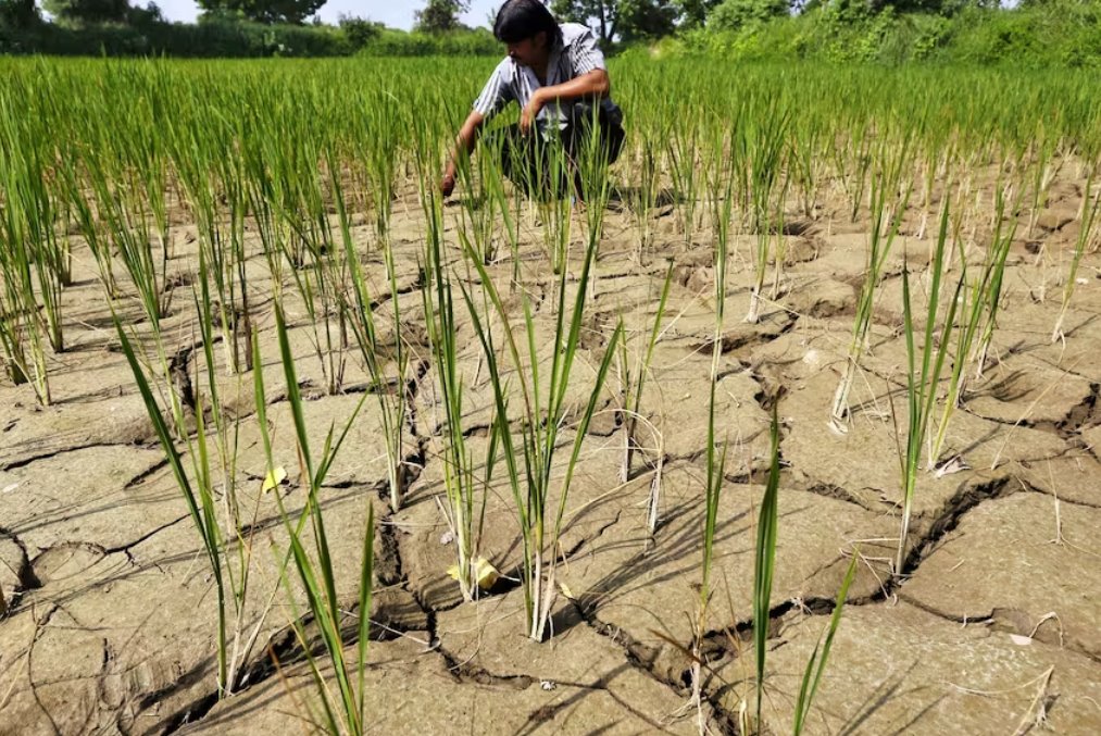 厄爾尼諾現(xiàn)象影響2023-2024年全球天氣