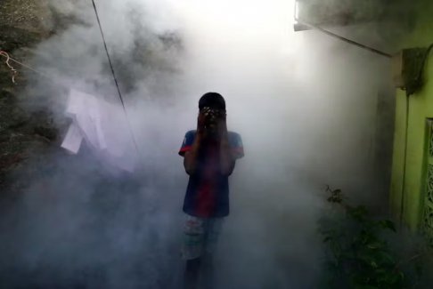 隨著全球變暖使病例接近歷史高點 世衛(wèi)組織警告登革