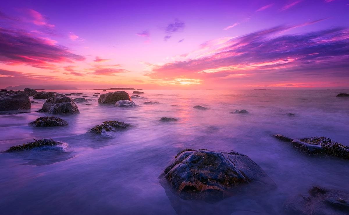 世界上一半以上的海洋已經(jīng)變色