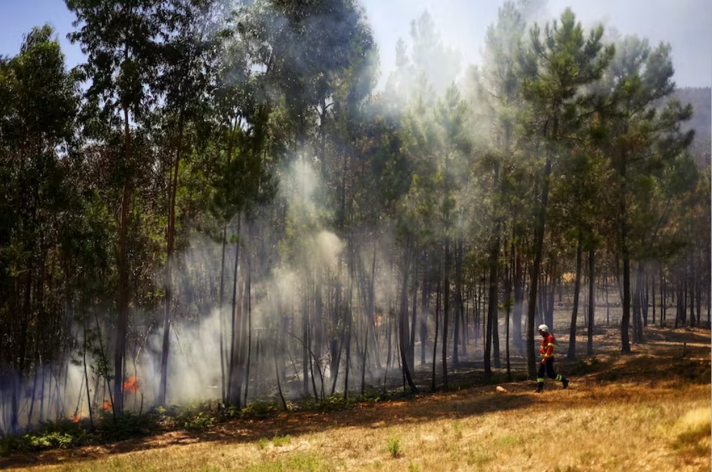 歐洲航天局局長警告氣候問題上的政治動搖