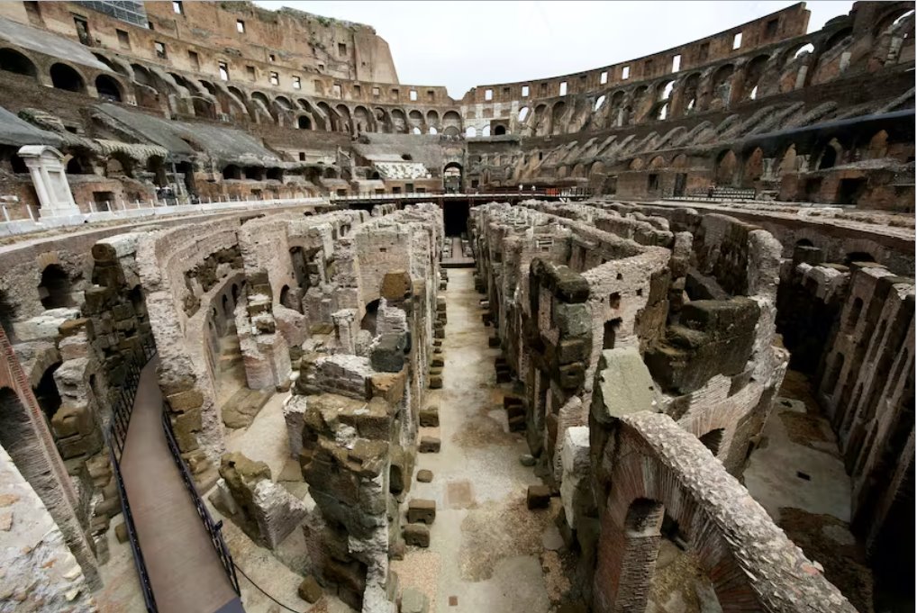 羅馬采取行動(dòng)清除羅馬斗獸場(chǎng)地區(qū)的老鼠