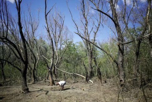 羅馬尼亞在與烏克蘭邊境附近發(fā)現(xiàn)無人機殘骸