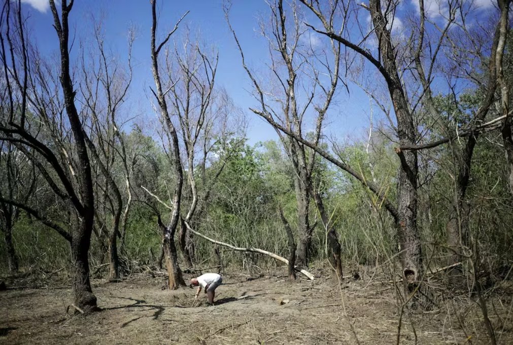 羅馬尼亞在與烏克蘭邊境附近發(fā)現(xiàn)無人機(jī)殘骸