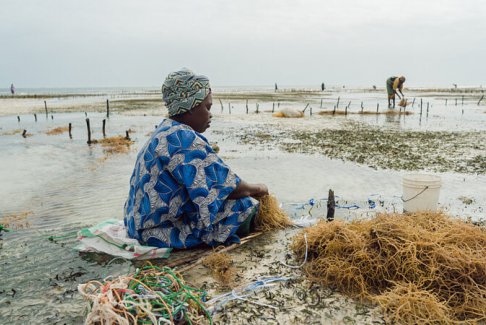 適應(yīng)手冊是COP28氣候峰會對世界弱勢群體的真正考驗(yàn)