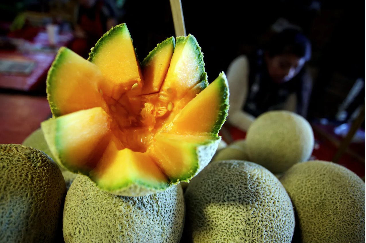 墨西哥哈密瓜工廠爆發(fā)沙門氏菌檢測(cè)呈陰性