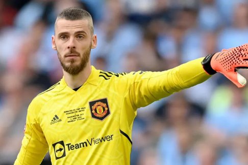 德赫亞加盟意甲球隊佛羅倫薩