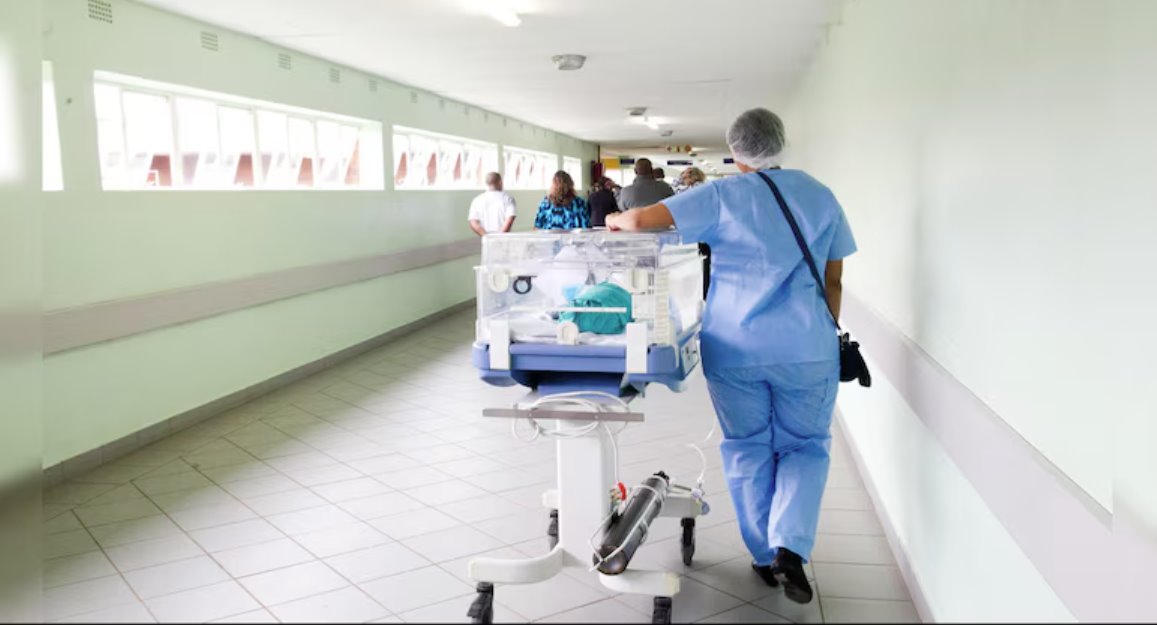 諾如病毒傳染性極強,感染胃和腸道。