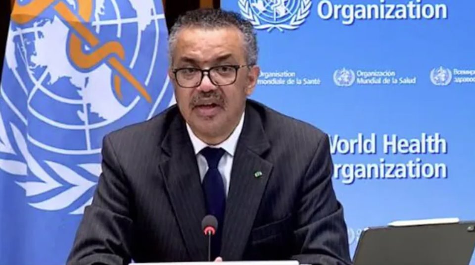 世衛(wèi)組織總干事表示，只有政治解決方案才能帶來有意義的和平。