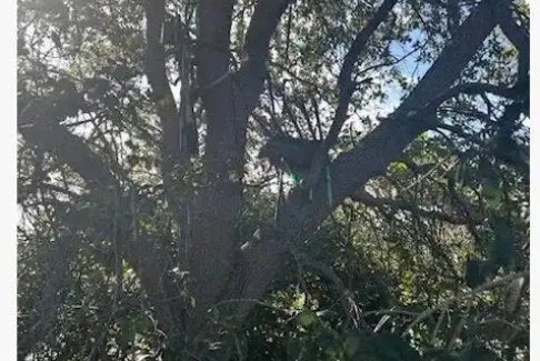 特朗普專機(jī)附近疑發(fā)現(xiàn)狙擊狩獵臺