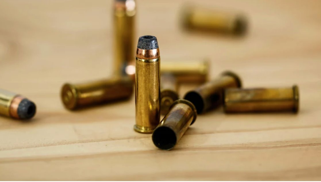 美國(guó)男子因?qū)櫸锕芬馔庾呋鸨凰屯t(yī)院