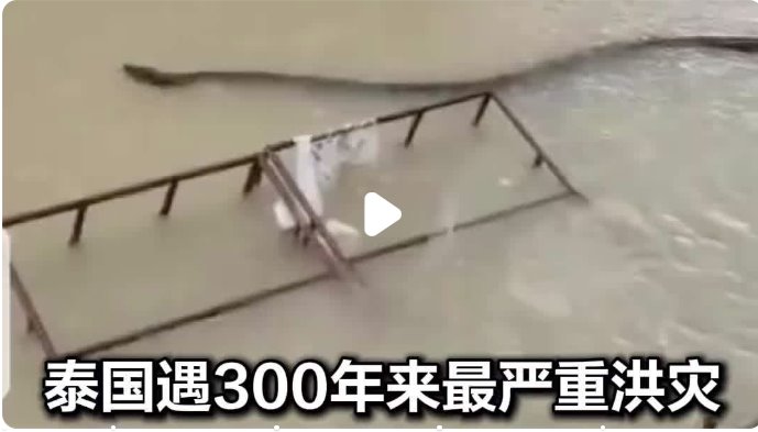 泰國遇洪災(zāi)：巨蛇在洪水中游動(dòng)