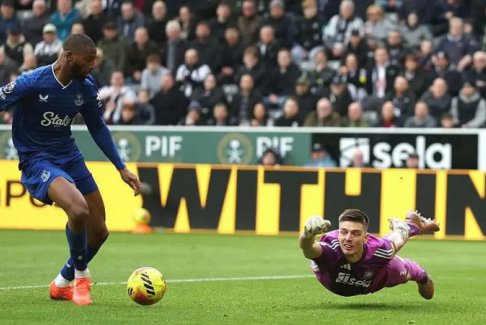 喜鵲們現(xiàn)在必須把杯子作為關(guān)注點(diǎn)