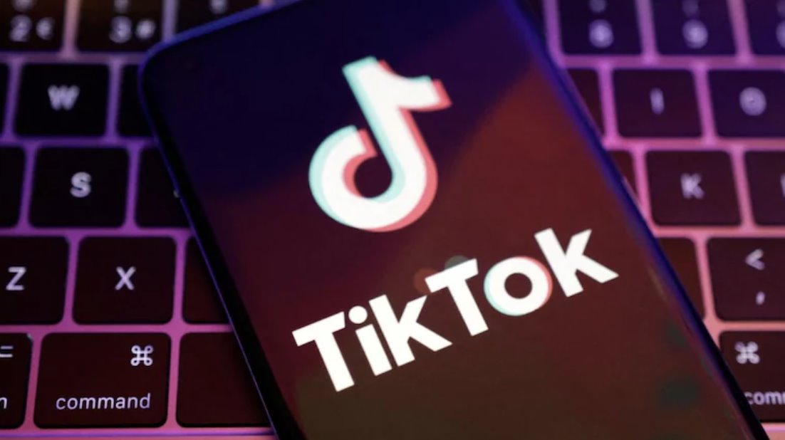 2024年11月，加拿大工業(yè)部下令解散TikTok公司。