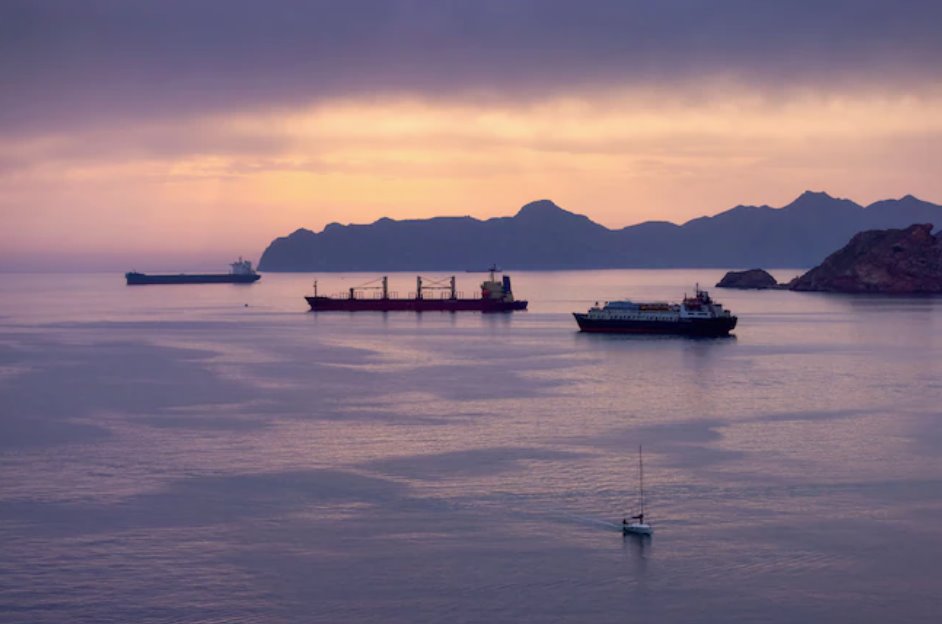 國際能源署成員國周三同意釋放4億桶石油儲量